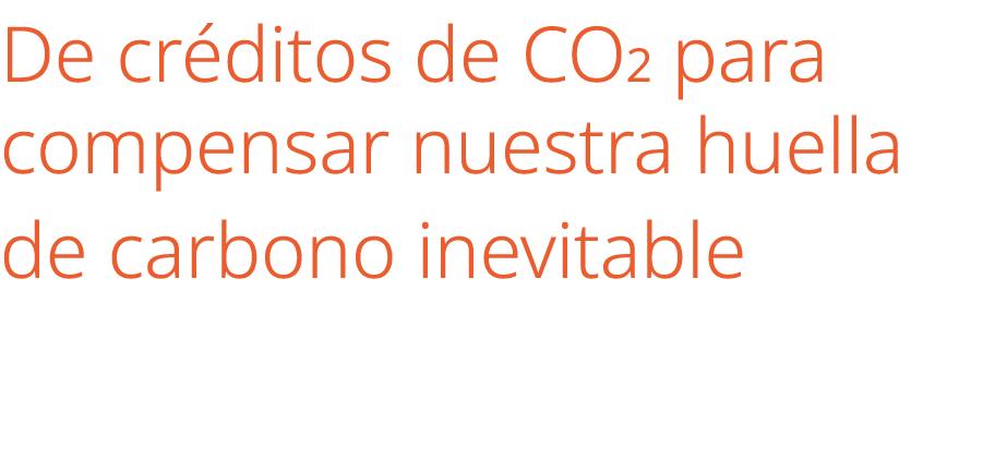 De cr ditos de CO2 para compensar nuestra huella de carbono inevitable 