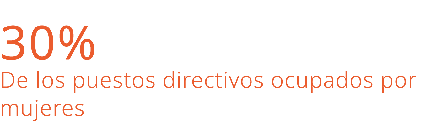 30% De los puestos directivos ocupados por mujeres 