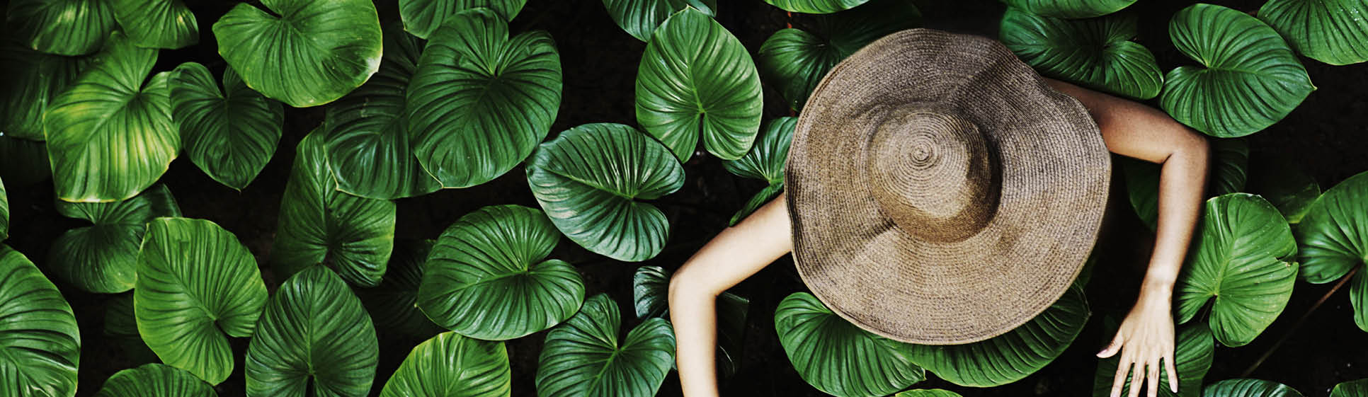 Thai woman with tropical leaves